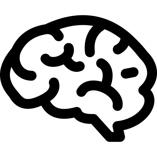 brain image